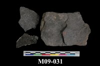 藏品(褐煤)的圖片